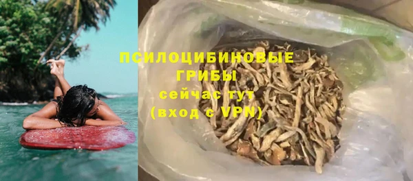 ГАЛЛЮЦИНОГЕННЫЕ ГРИБЫ Алексин